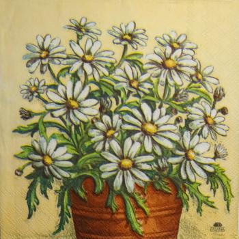 241 Daisies  - 3 ply -  (cream) - Fasana